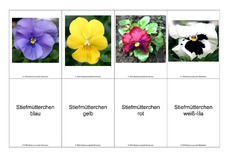 Blumen-Memo-Aufdeckspiel-9.pdf